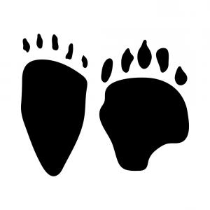 300x300 Californian Bear Paw Print Bear Footprint With Vector Handandbeak