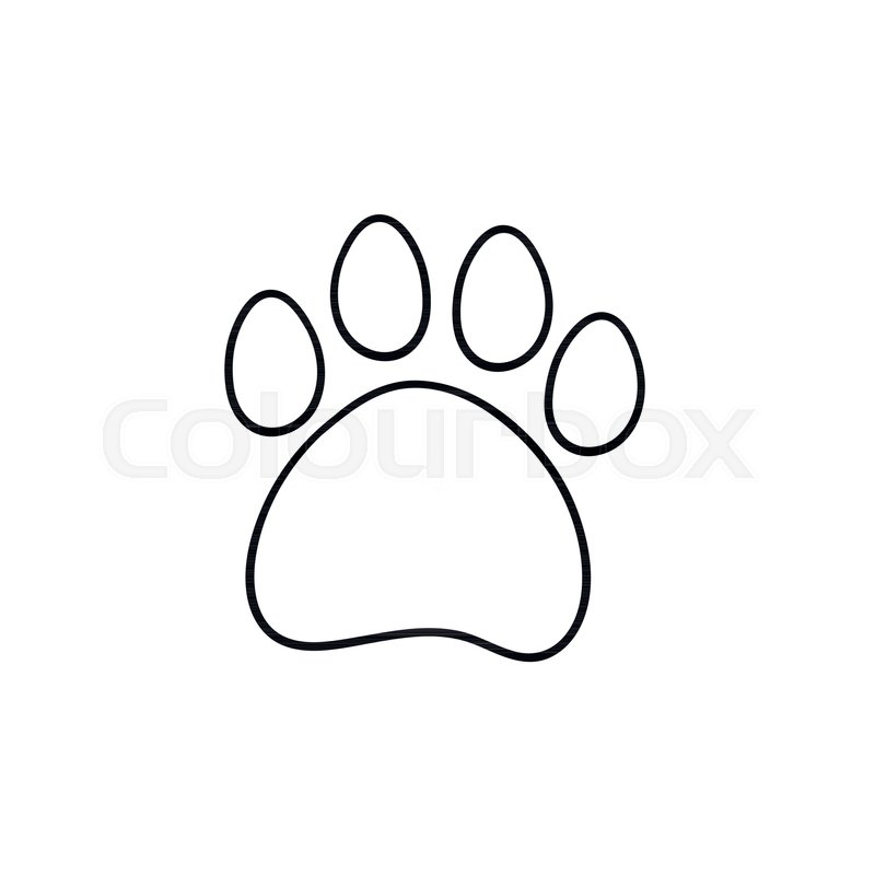 800x800 Paw Print Hand Drawn Outline Doodle Stock Vector Colourbox