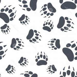 300x300 Bear Claw Bear Footprint Seamless Pattern Vector Illustration Bear