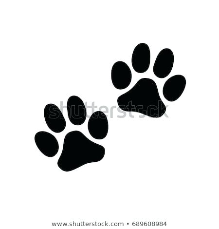 Bear Paw Print Vector at Vectorified.com | Collection of Bear Paw Print ...