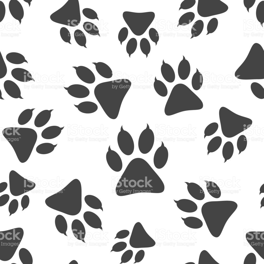 Bear Paw Icon 1024x1024 Bear Paw Icon