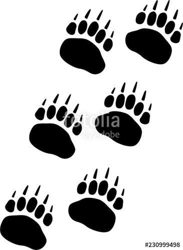Bear Paw Track Stock Image And Royalty Free Vector 365x500 Bear Paw Track Stock Image And Royalty Free Vector