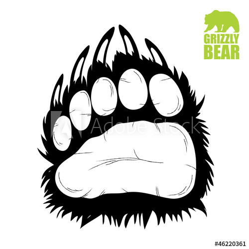 Bear Paw 500x500 Bear Paw