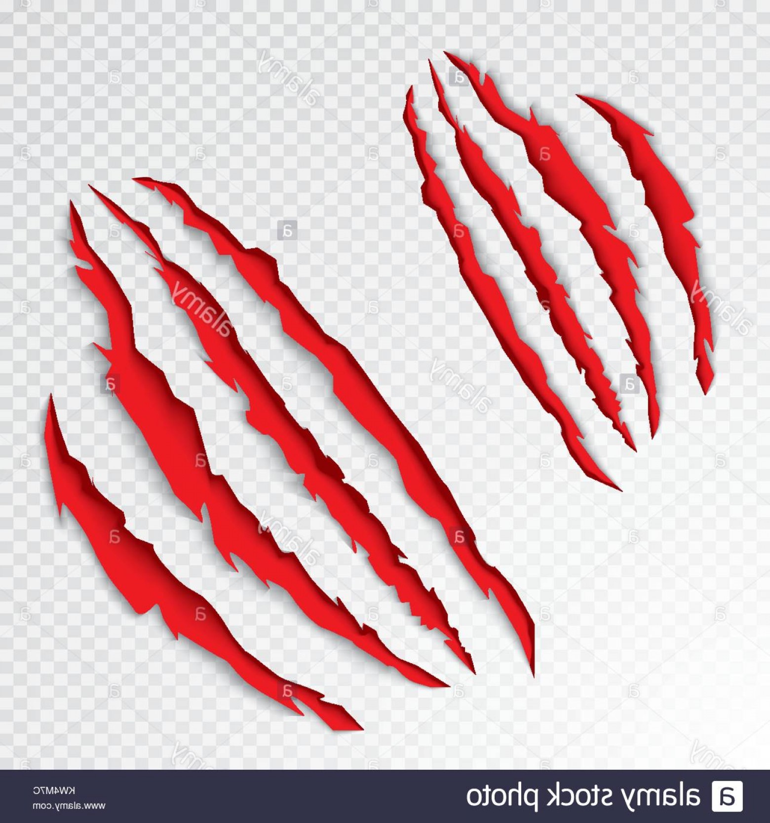 Stock Photo Animal Claws Scratching Vector Illustration Tiger 1560x1668 Stock Photo Animal Claws Scratching Vector Illustration Tiger