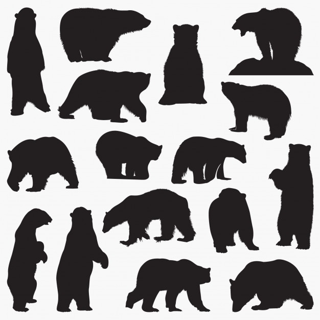 626x626 Bear Silhouette Vectors, Photos And Free Download