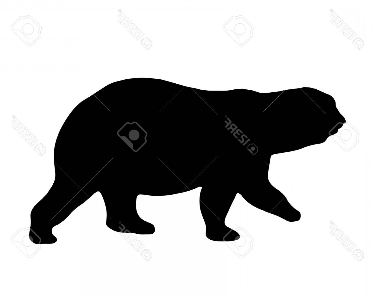 1560x1248 Photostock Vector Polar Bear Silhouette Isolated On White