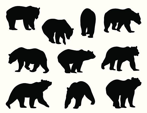 612x469 Grizzly Bears Vector Art Illustration Crafts Bear Vector, Bear