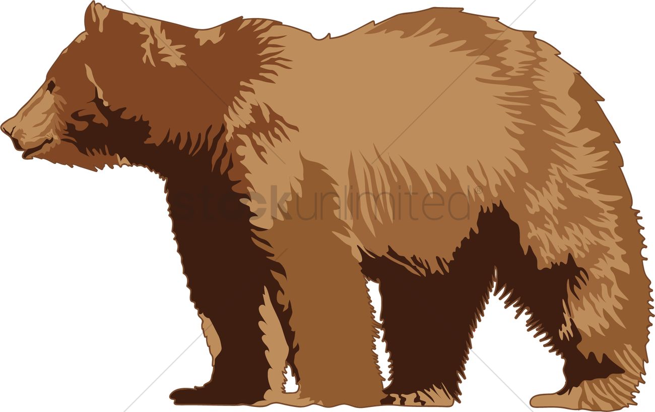 1300x817 Grizzly Bear Vector Image