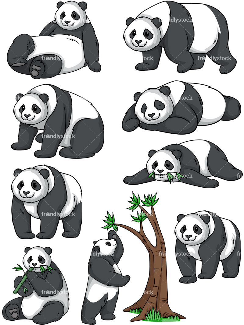 800x1067 Panda Bear Vector Collection Cartoon Clipart