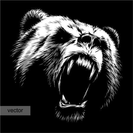 450x450 Engrave Isolated Bear Vector Illustration Sketch Linear Art
