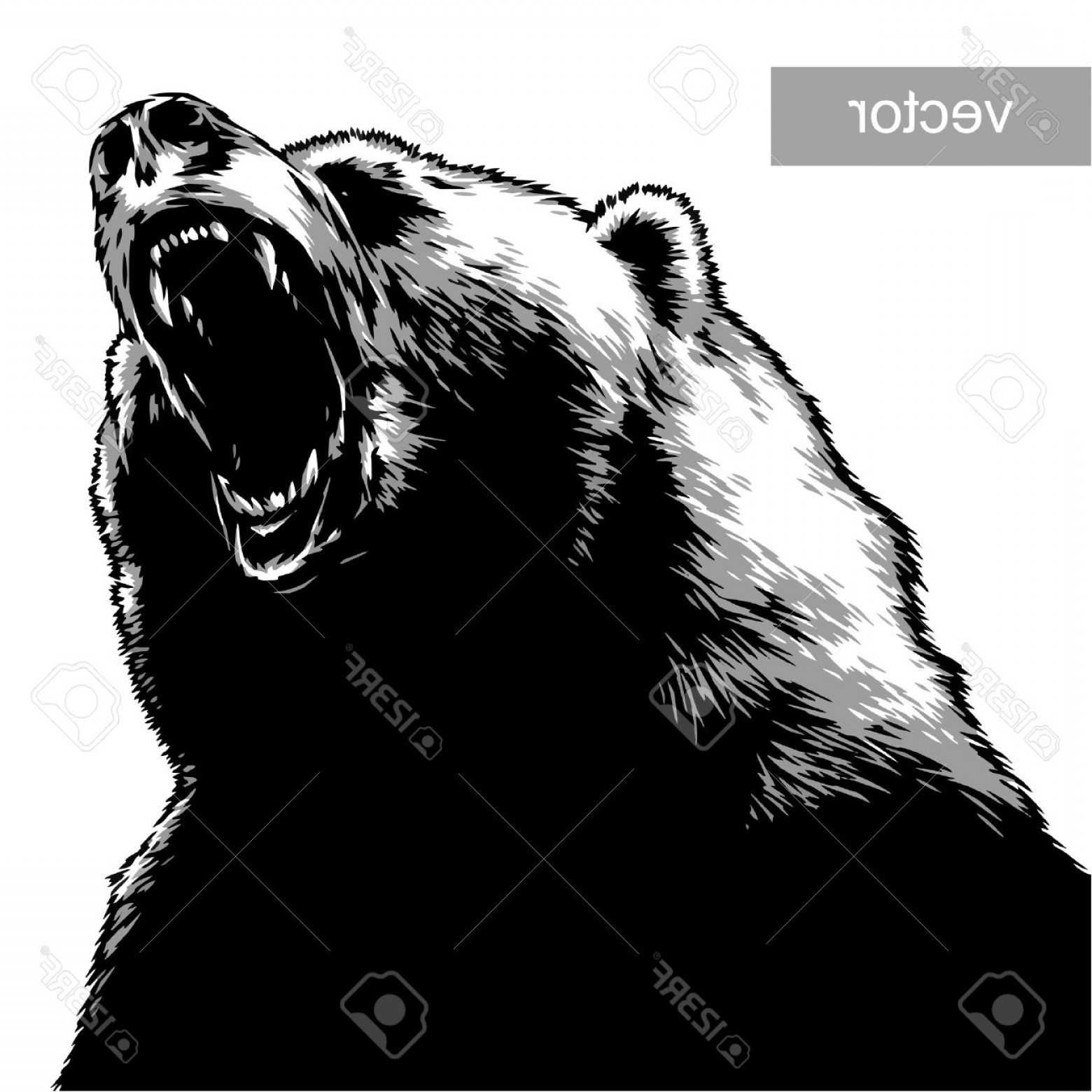Bear Vector Illustration Createmepink 1560x1560 Bear Vector Illustration Createmepink