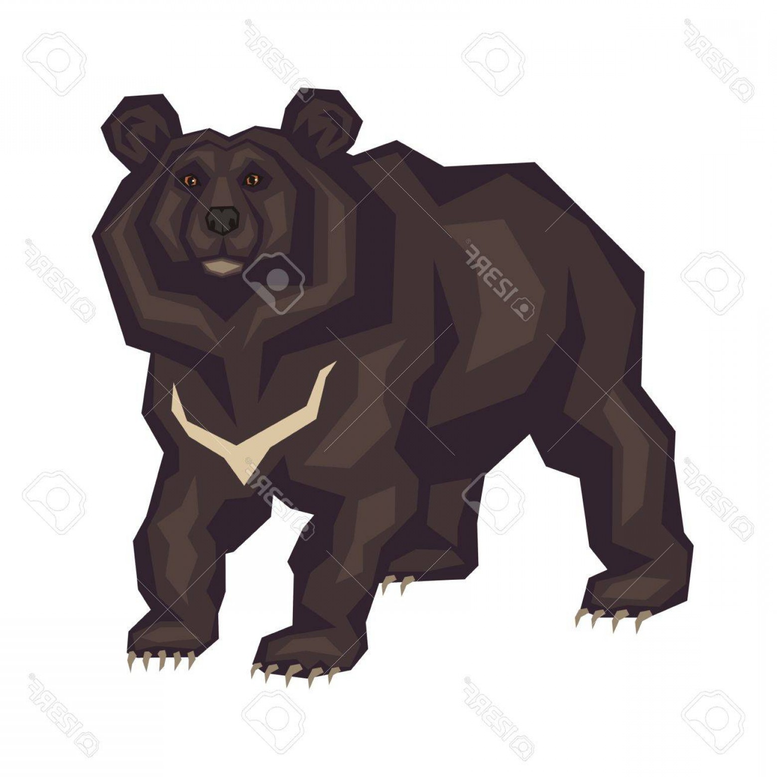 Bear Vector Art at Vectorified.com | Collection of Bear Vector Art free