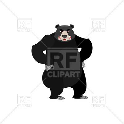 Bear Vector Free