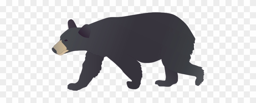 840x338 Black Bear Illustration Of Ursus Americanus American
