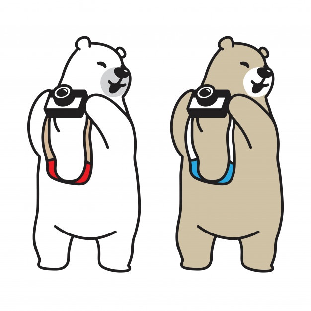 626x626 Polar Bear Vectors, Photos And Free Download
