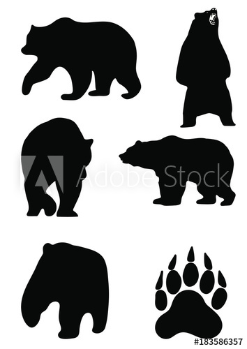 354x500 Grizzly Bear Vector Contour Grizzly Bear