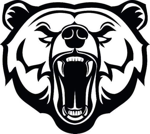 570x512 Products Bear Drawing, Cute Bear Drawings, Bear Head