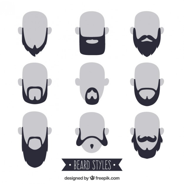 626x626 Beard Vectors, Photos And Free Download