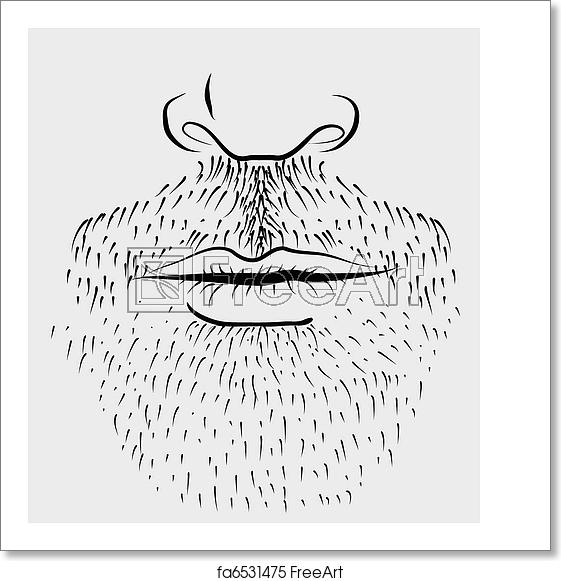 561x581 Free Art Print Of Man's Beard Vector Part Of Face Freeart