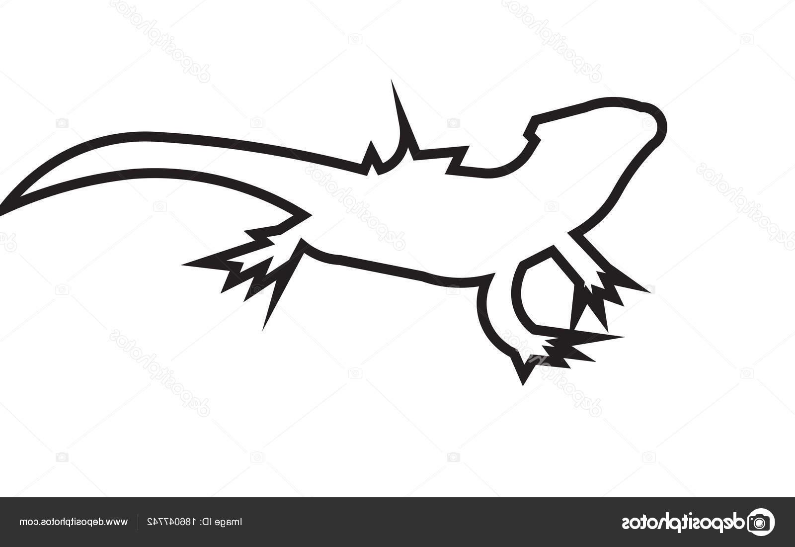 Download Bearded Dragon Vector at Vectorified.com | Collection of ...