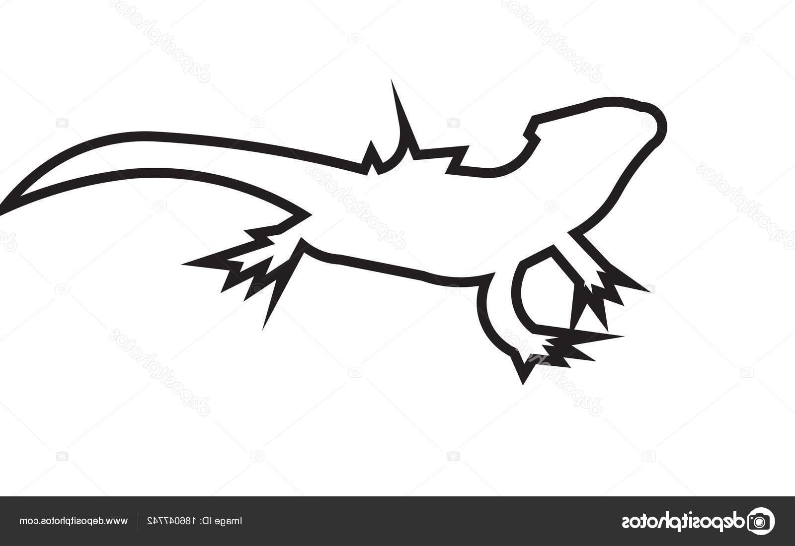 1600x1100 Huge Collection Of 'bearded Dragon Silhouette' Download More Than
