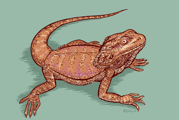 600x403 Paper Pusher Animal Alphabet D Is For Dragon