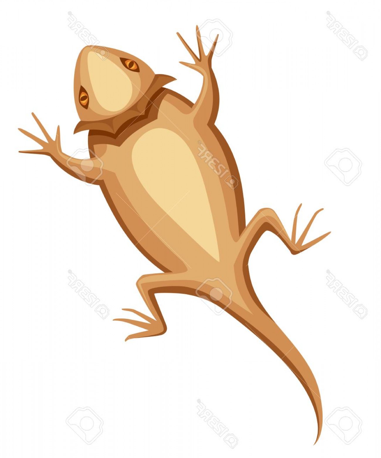 1299x1560 Photostock Vector Flat Bearded Dragon Small Brown Lizard Central