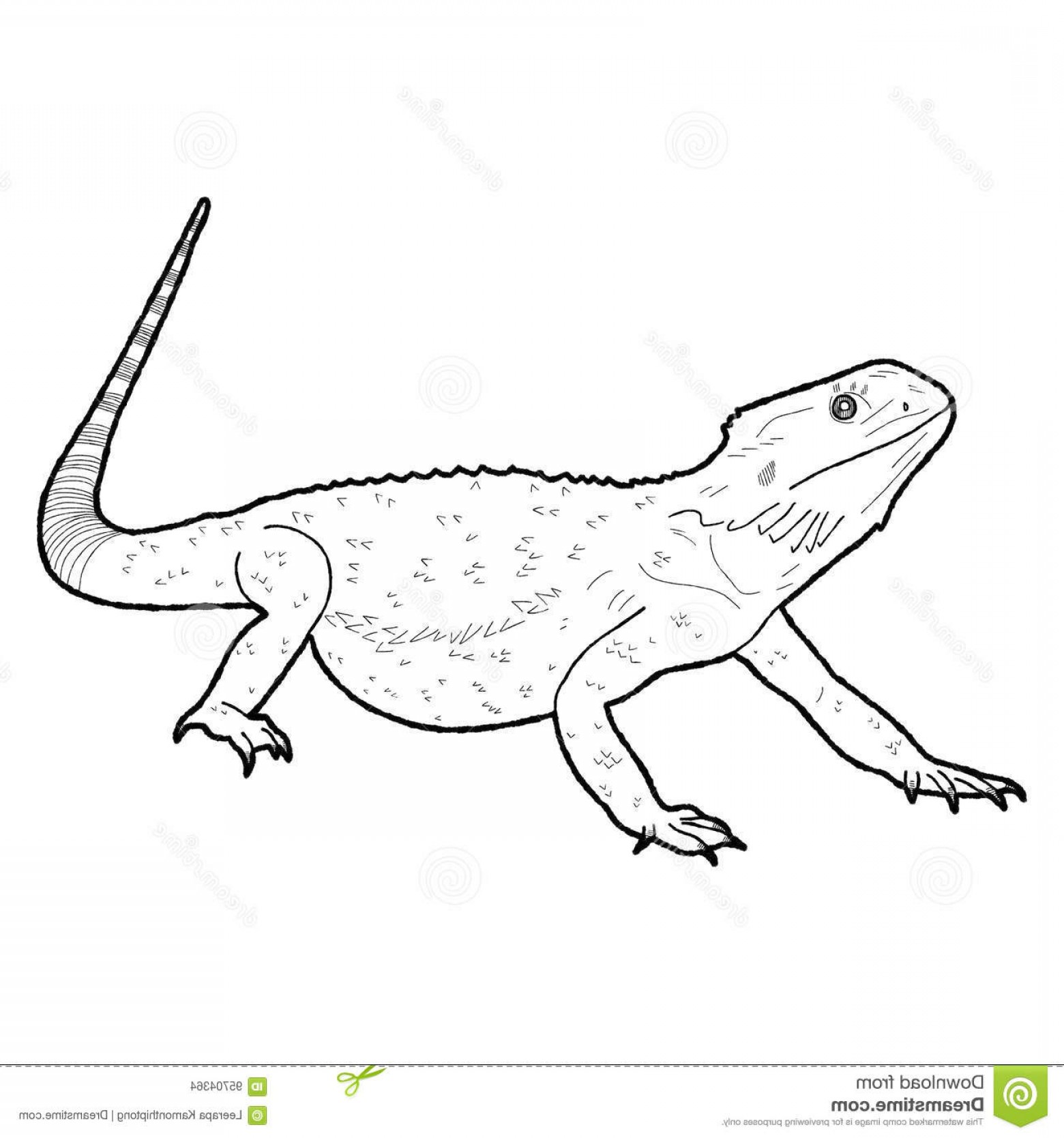1560x1668 Stock Illustration Bearded Dragon Animal Cartoon Art Image Soidergi
