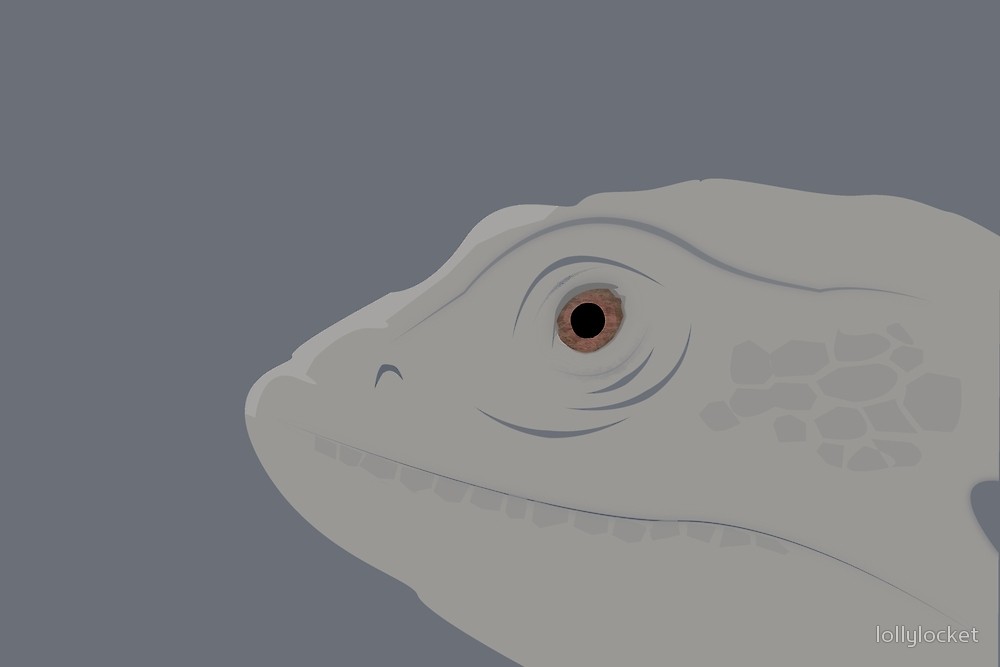 1000x667 Bearded Dragon Vector