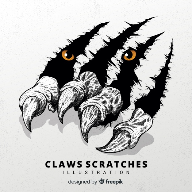 Beautiful Beast Vector Tiger Claw Transparent Png Clipart Free 626x626 Beautiful Beast Vector Tiger Claw Transparent Png Clipart Free