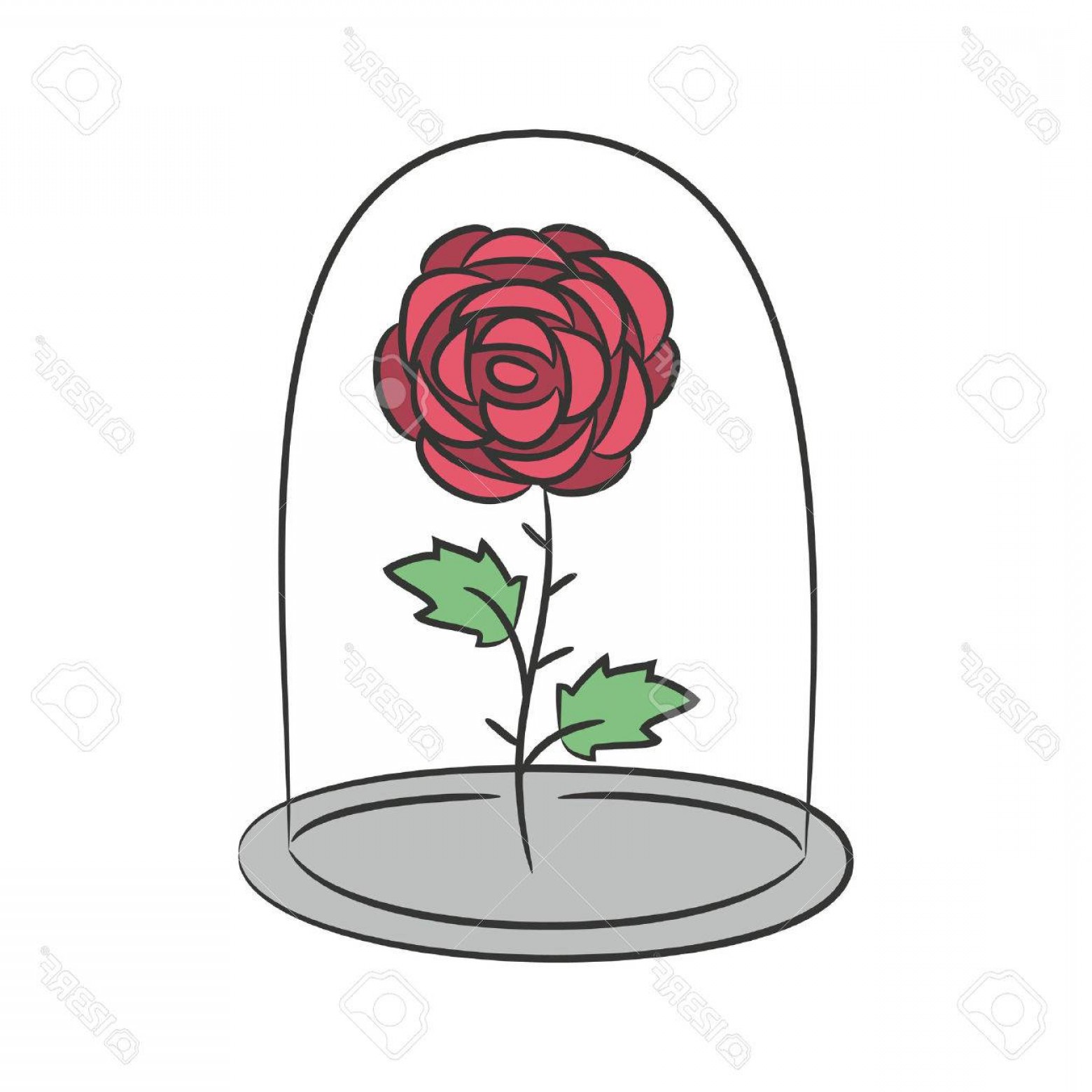1560x1560 Photostock Vector Rose In A Flask Of Glass On The White Background