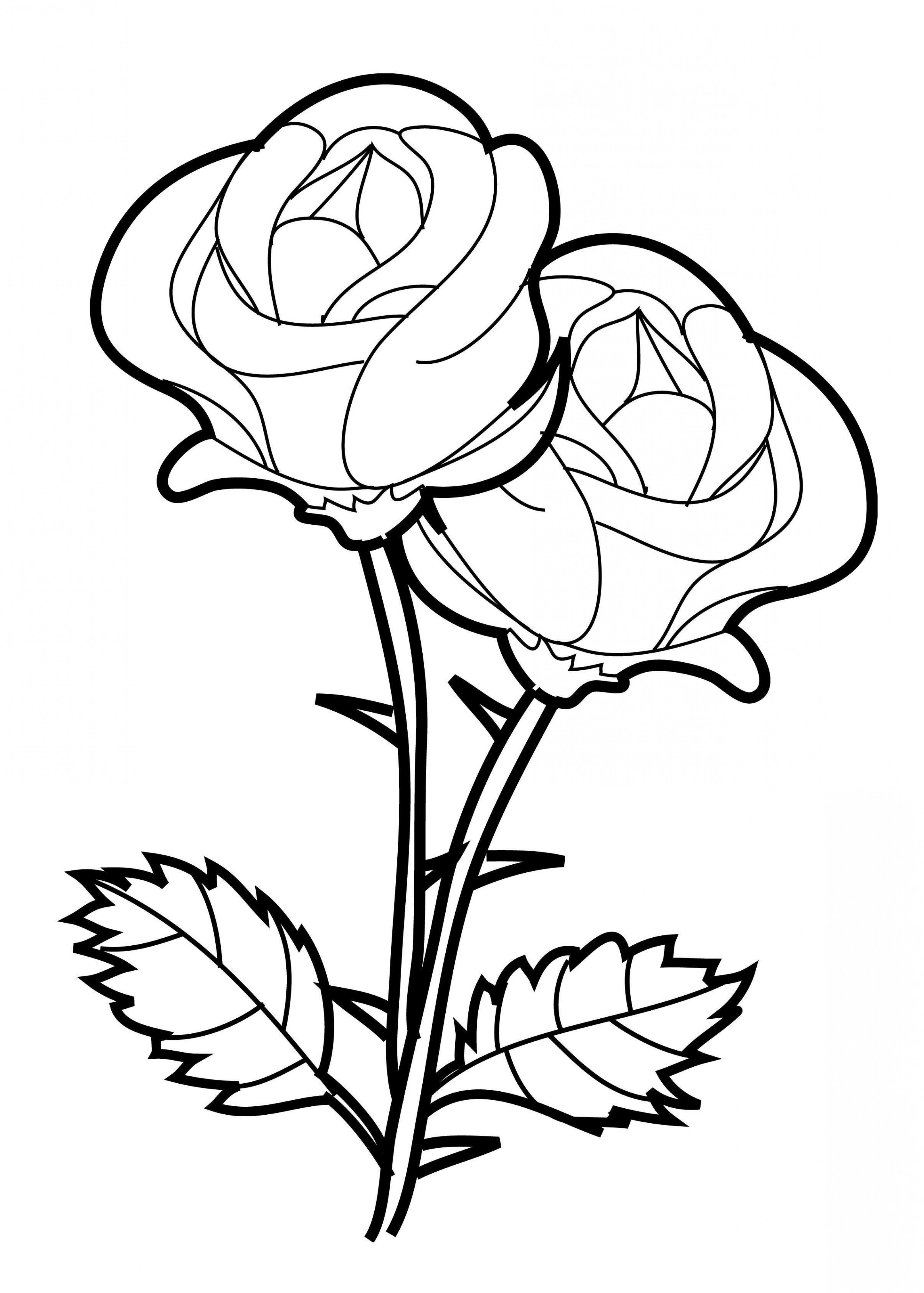 2888x4039 Rose Drawing Easy Beauty And The Beast Beauty And The Beast Rose
