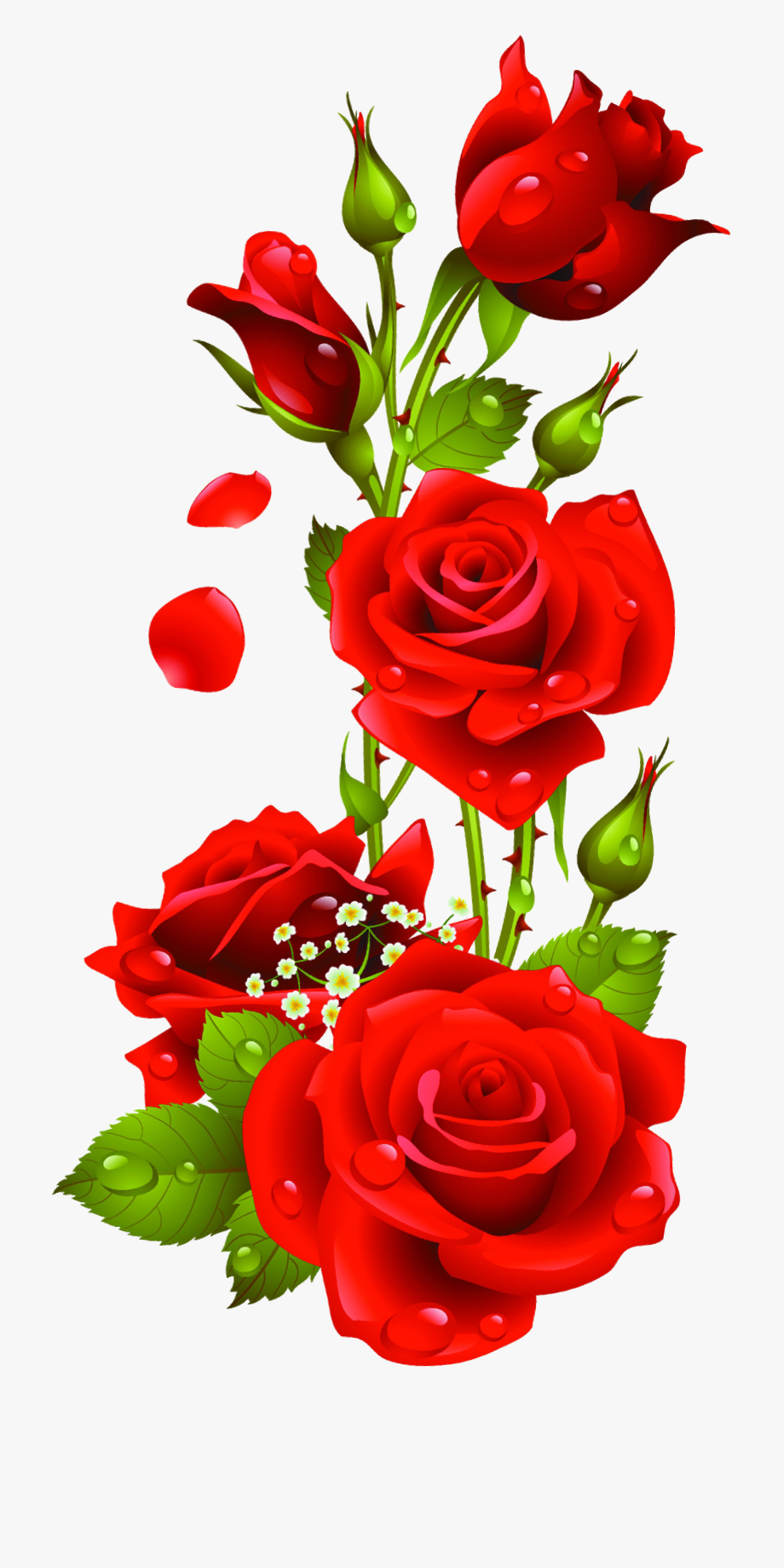 920x1839 Rose Vector