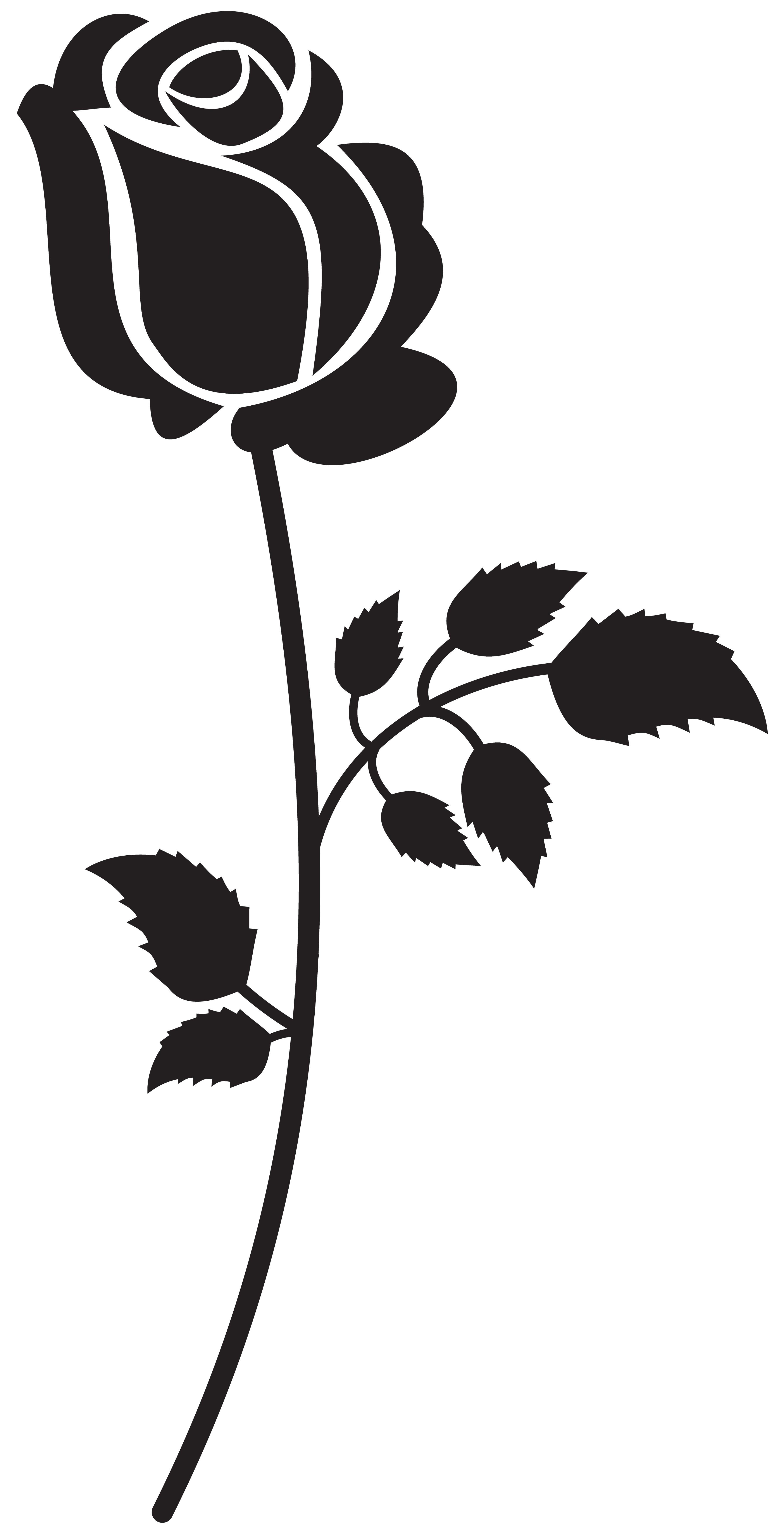 3591x7000 Rose Clipart Silhouette For Free Download And Use Images