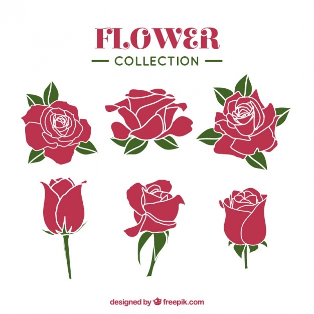 626x626 Roses Vectors, Photos And Free Download
