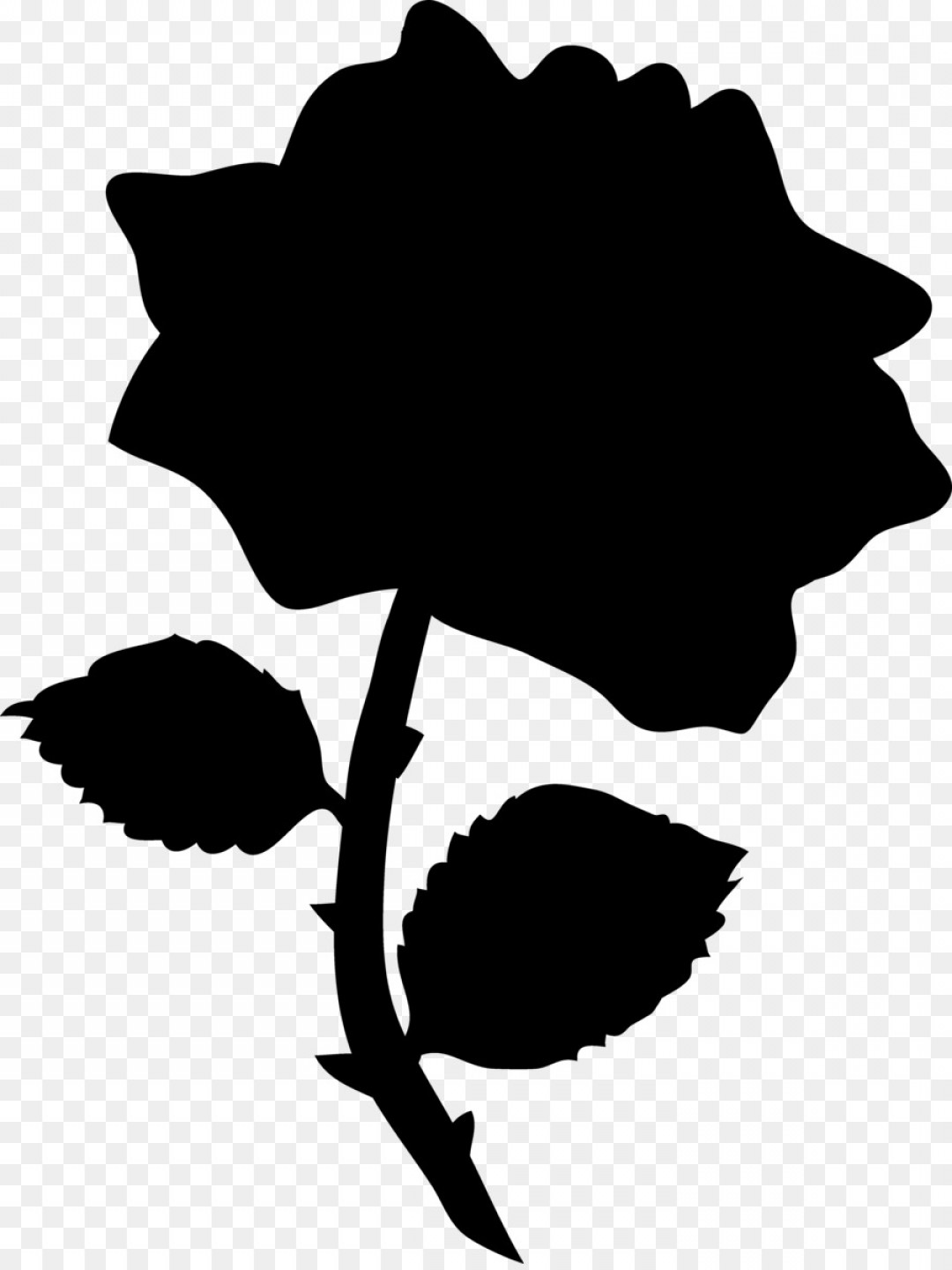 1080x1440 Beauty And The Beast Rose Vector Sarahgardan