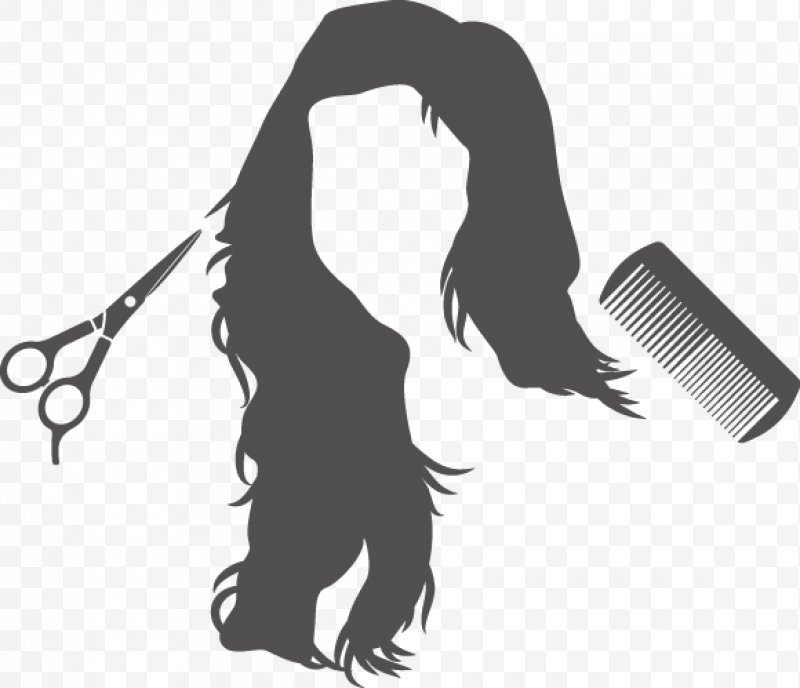 Comb Hairstyle Beauty Parlour, Png, Comb, Barbershop 800x688 Comb Hairstyle Beauty Parlour, Png, Comb, Barbershop