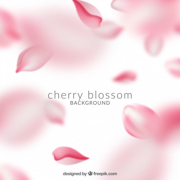 626x626 Beauty Vectors, Photos And Free Download