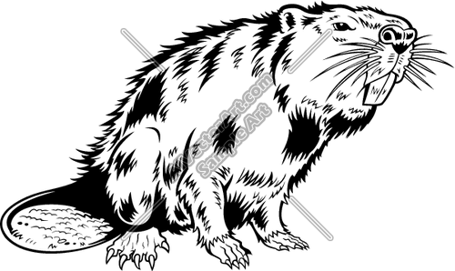 500x298 Beaver Clipart And Vectorart Animals