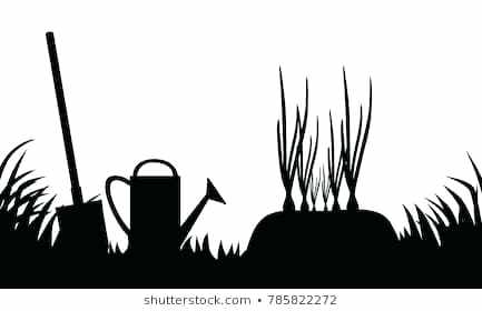 433x280 Garden Silhouette Midnightfun Club