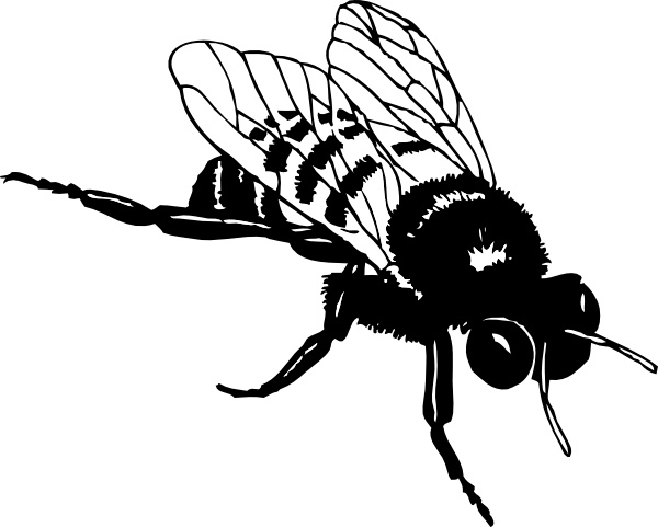 600x481 Bumble Bee Clip Art Free Vector In Open Office Drawing