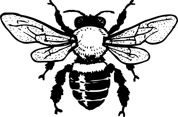600x394 Honey Bee Clip Art Free Vector In Open Office Drawing