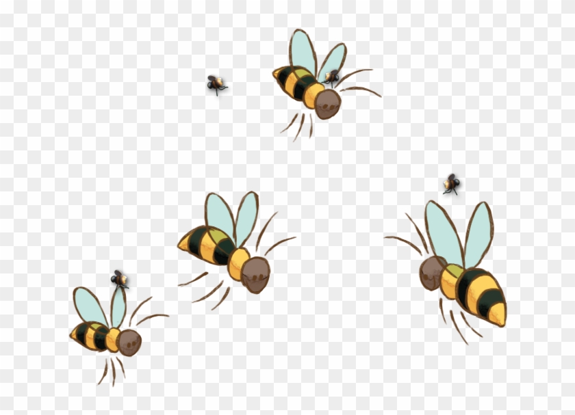 840x607 Bee Clip Art At Clker Com Vector Clip Art Online Royalty