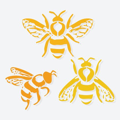 Honey Bee Vector Premium Clipart 416x416 Honey Bee Vector Premium Clipart