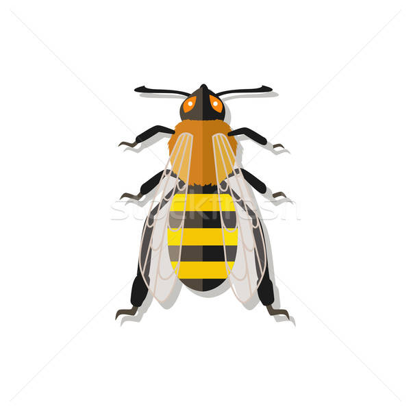 Vector Bee Icon Vector Illustration Robuart 600x600 Vector Bee Icon Vector Illustration Robuart