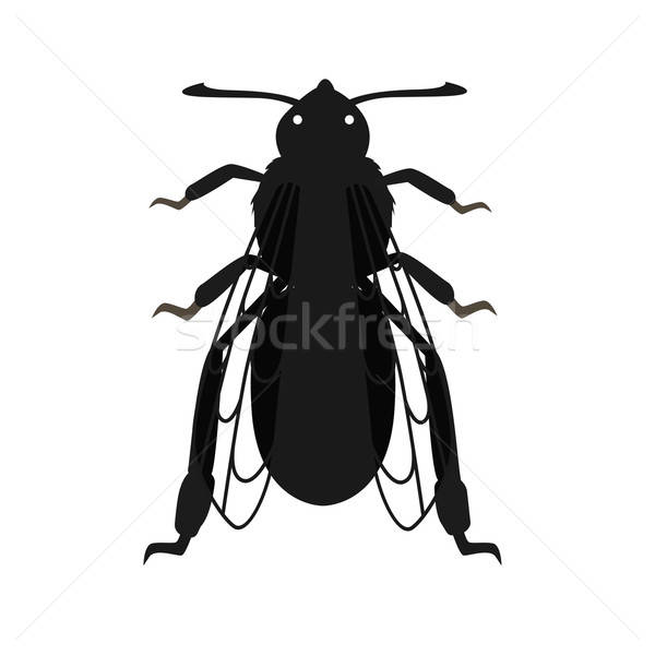 Vector Bee Icon Vector Illustration Robuart 600x600 Vector Bee Icon Vector Illustration Robuart