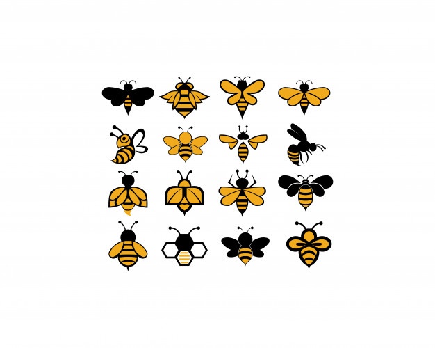 Bee Animal Icon Vector Premium Download 626x500 Bee Animal Icon Vector Premium Download