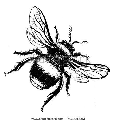 450x470 Bee Drawing Bee Line Art Images In Bee Drawing, Drawings