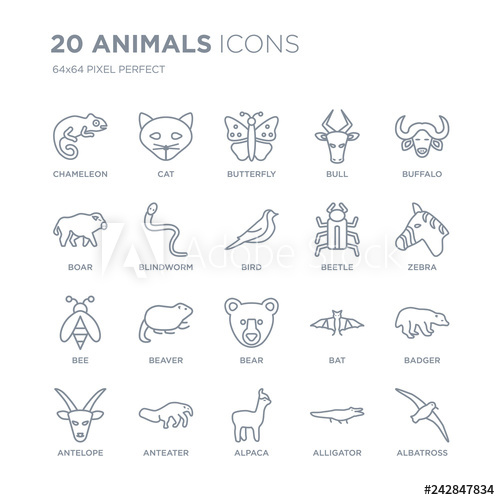 500x500 Collection Of Animals Linear Icons Such As Chameleon, Cat