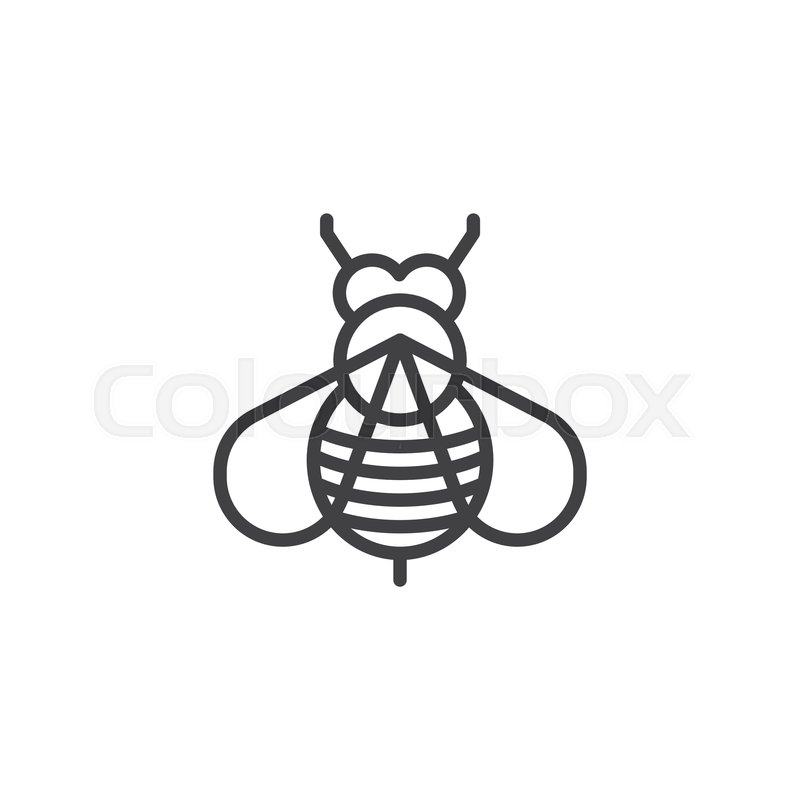 800x800 Honey Bee Line Icon Linear Style Sign Stock Vector Colourbox